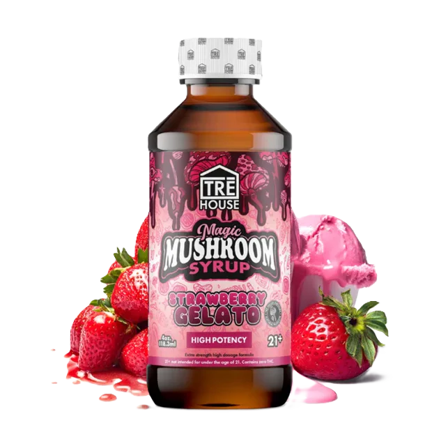 TRE HOUSE Mushroom Syrup 1000mg/4oz